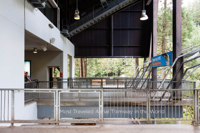 Illustration for article titled Pics from the (Mountain)side: 2016-10-10 at Grouse Mountain